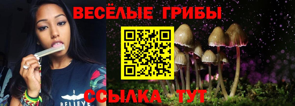 Галлюциногенные грибы MAGIC MUSHROOMS Минеральные Воды